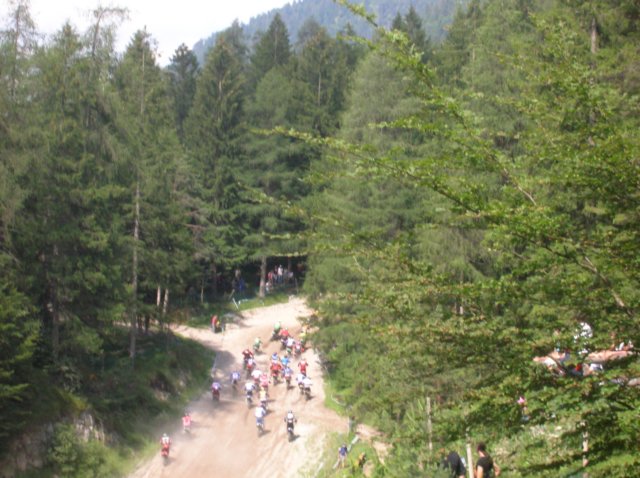 dscn5310.jpg