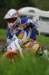 dsc_4926_small.jpg