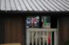 dsc_6891_small.jpg