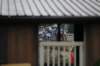 dsc_6893_small.jpg